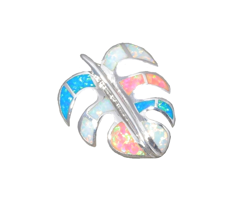 20210806_195504_0000