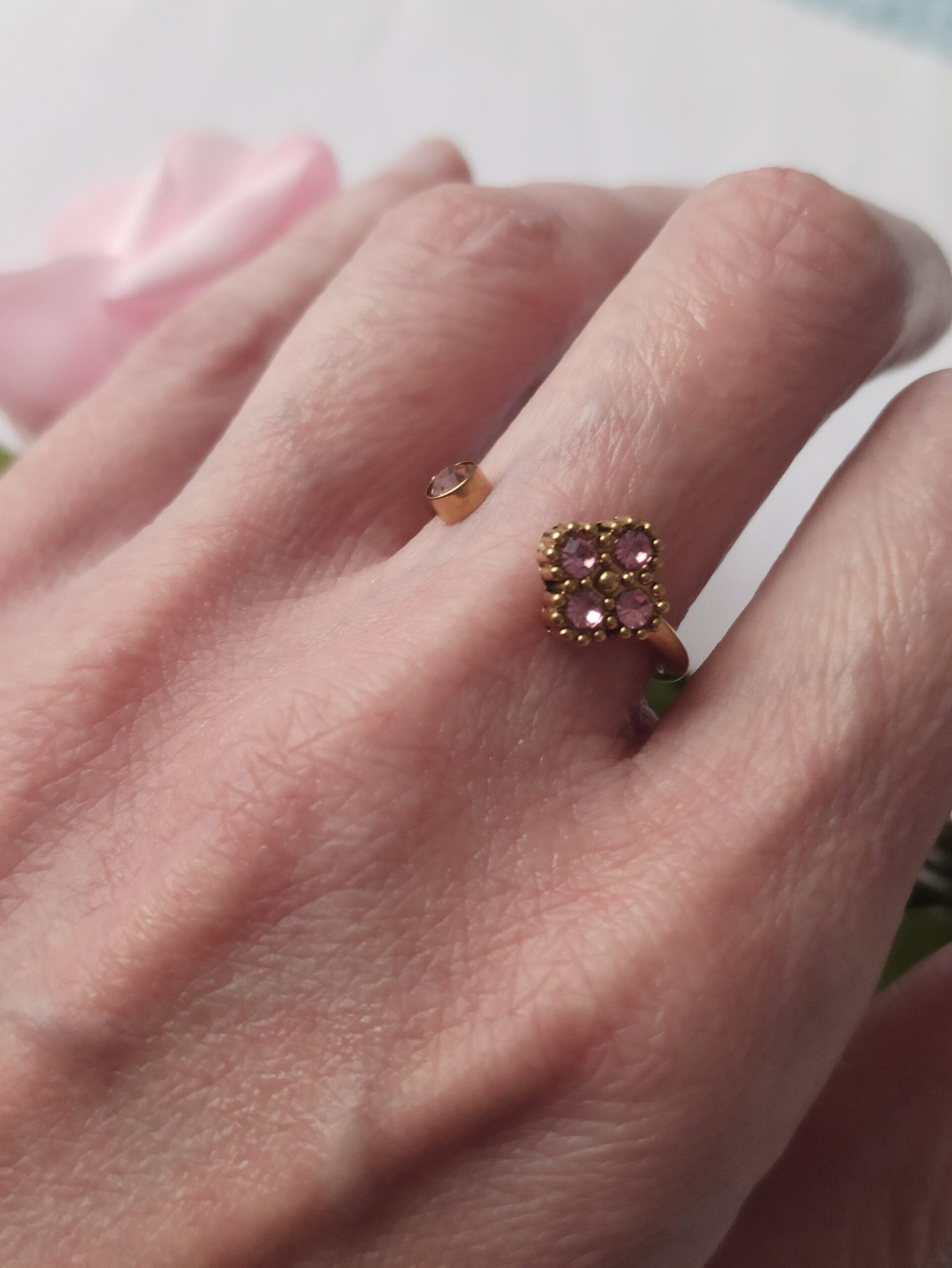 Conjunto Freinter - Imagen 4