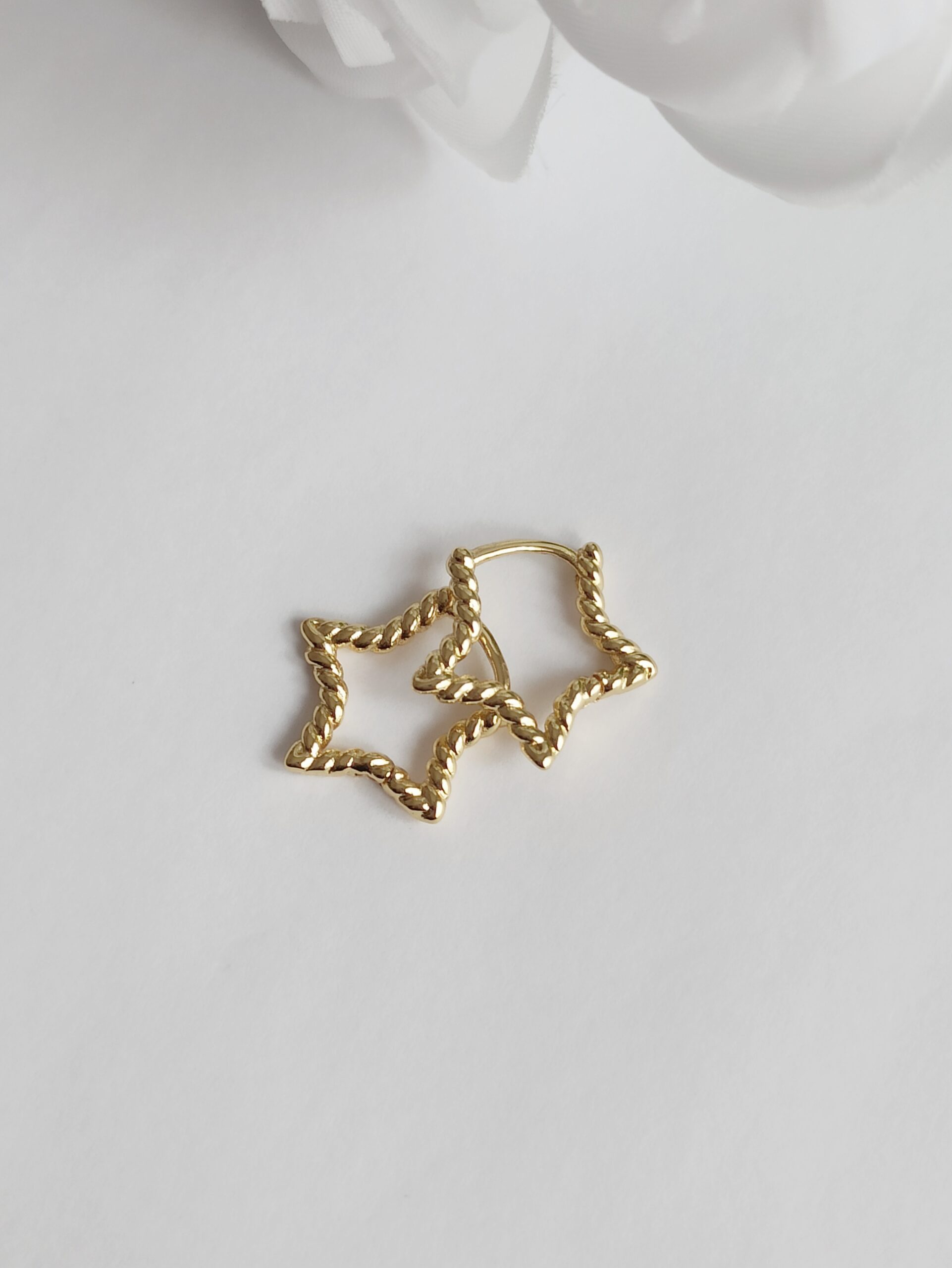 Pendientes Sire