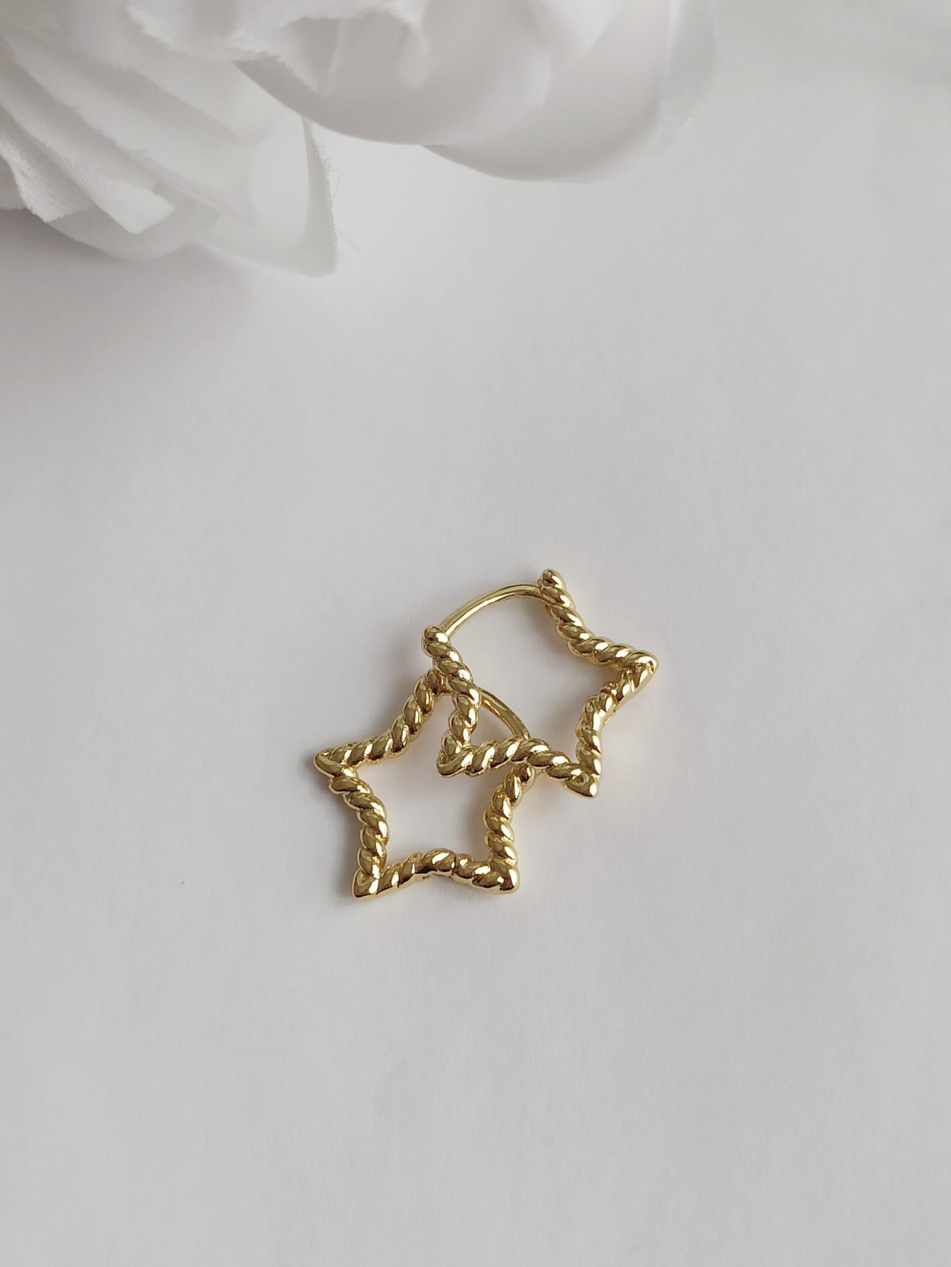 Pendientes Sire - Imagen 2