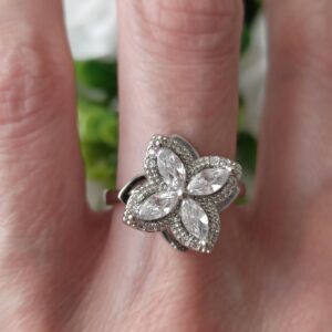 Anillo Joma en Plateado