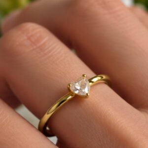 Anillo Lusa